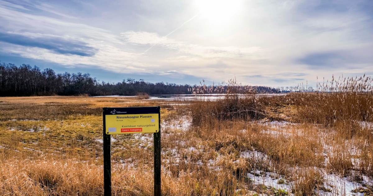 Wandeling door Lusthof de Haeck met gids van Natuurmonumenten
