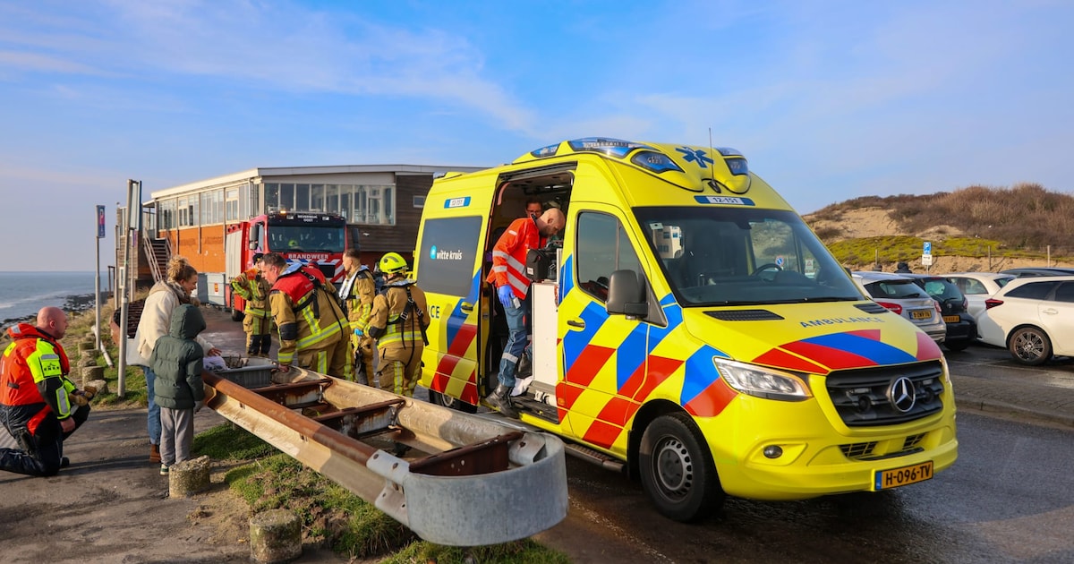 Hulpdiensten redden hondje en baasje uit water bij Noordpier