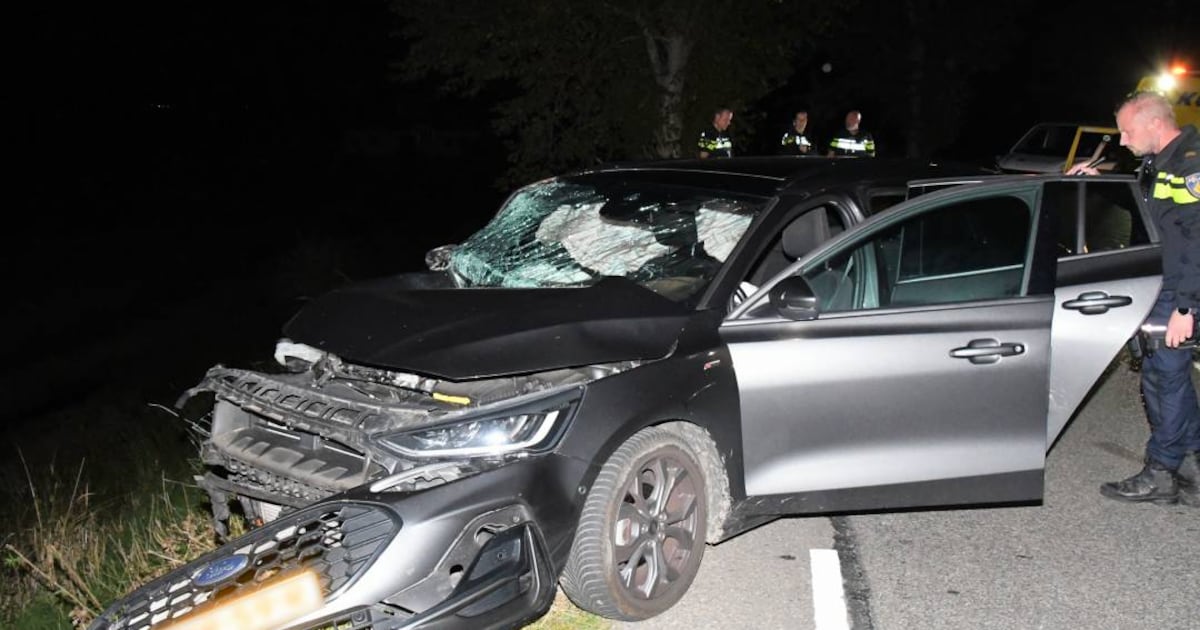 Boom voorkomt dat auto van dijk afrolt na crash in Kattendijke