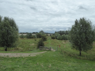 Natuurexcursie door Wetland Passewaaij