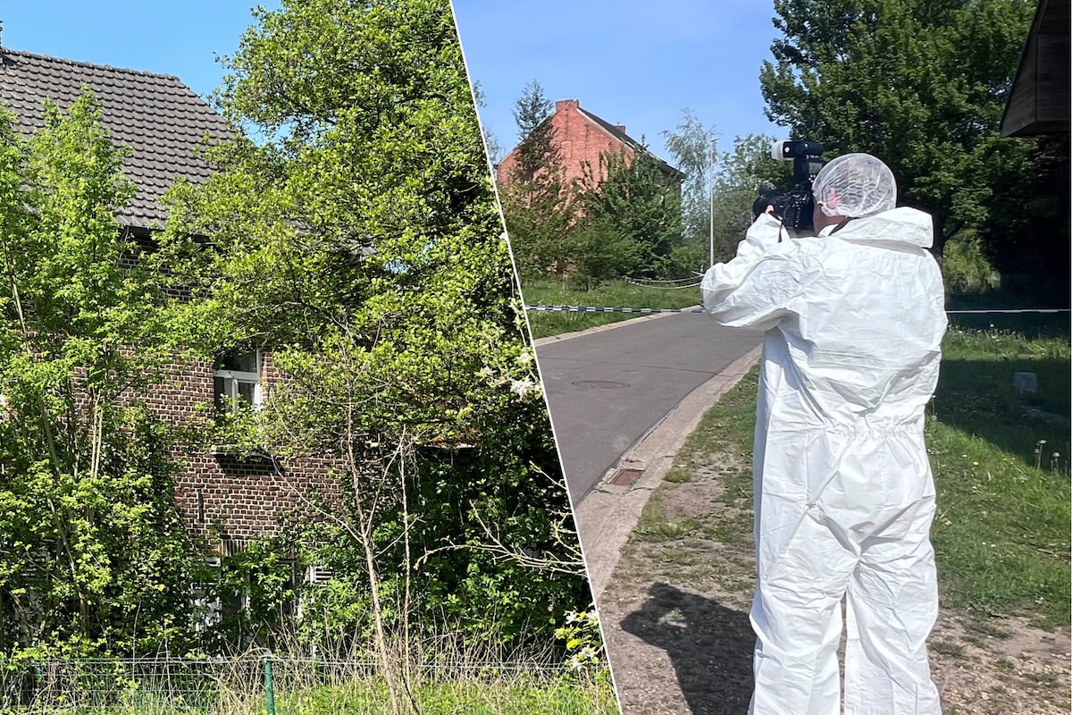 Belgische politie vindt onthoofd lichaam in kraakpand, man en vrouw  aangehouden | Buitenland | AD.nl