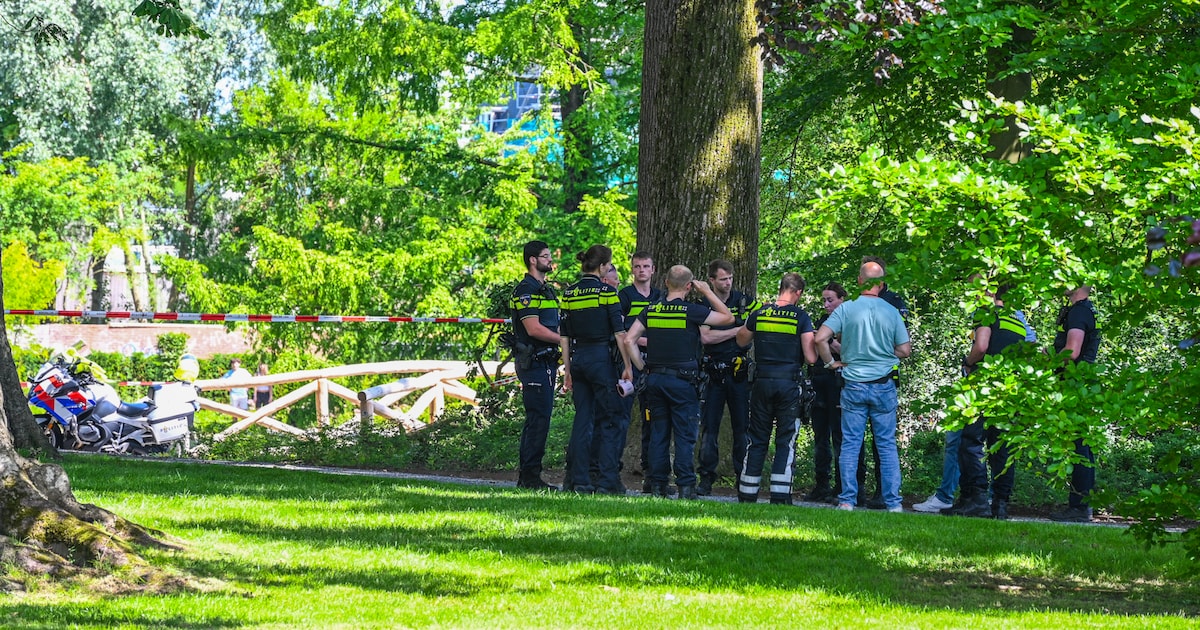 Minderjarige verdachte aangehouden na steekincident in Van Haersmapark in Drachten