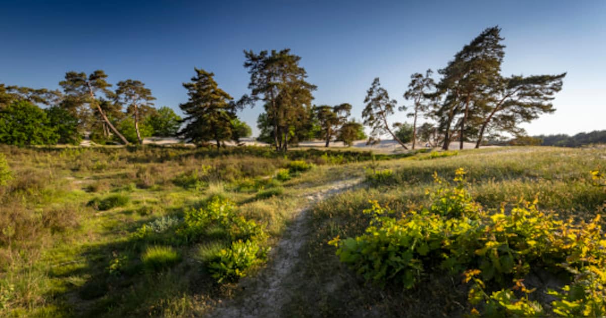 Nationaal Park Utrechtse Heuvelrug groeit fors