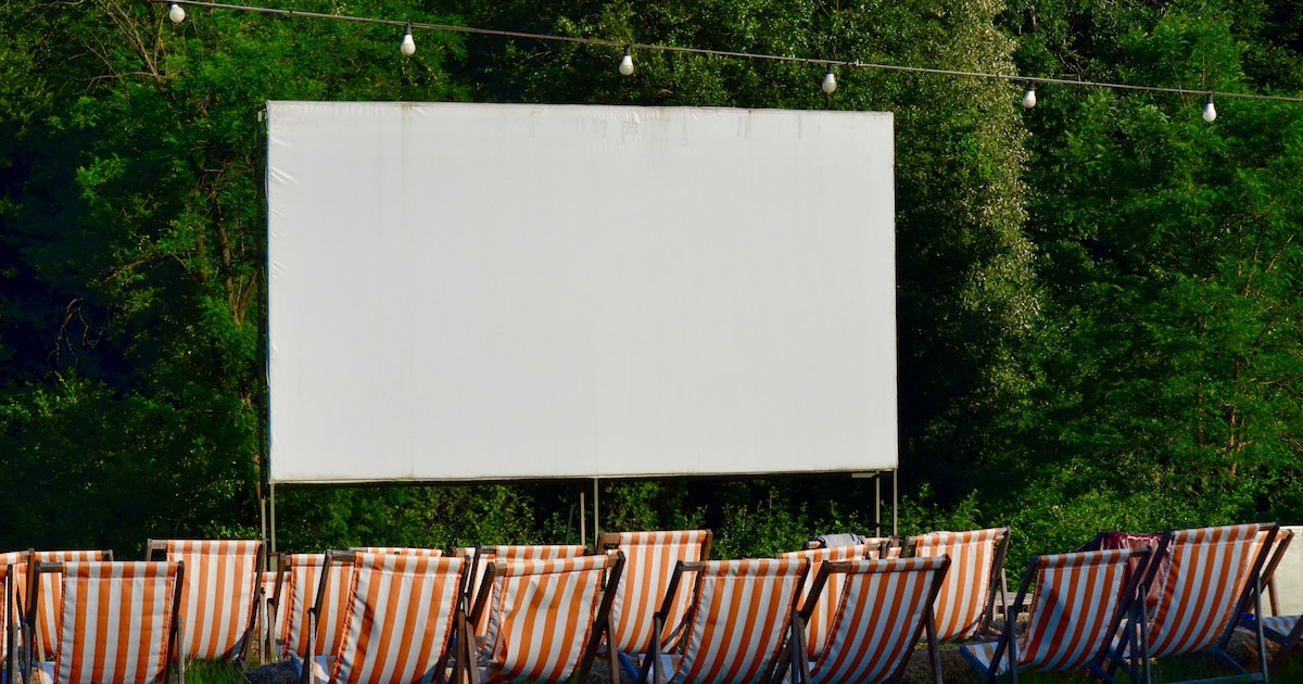 Buitenbioscoop in Vlaardingen: Van Shrek tot Grease tijdens Bos Bios Festival