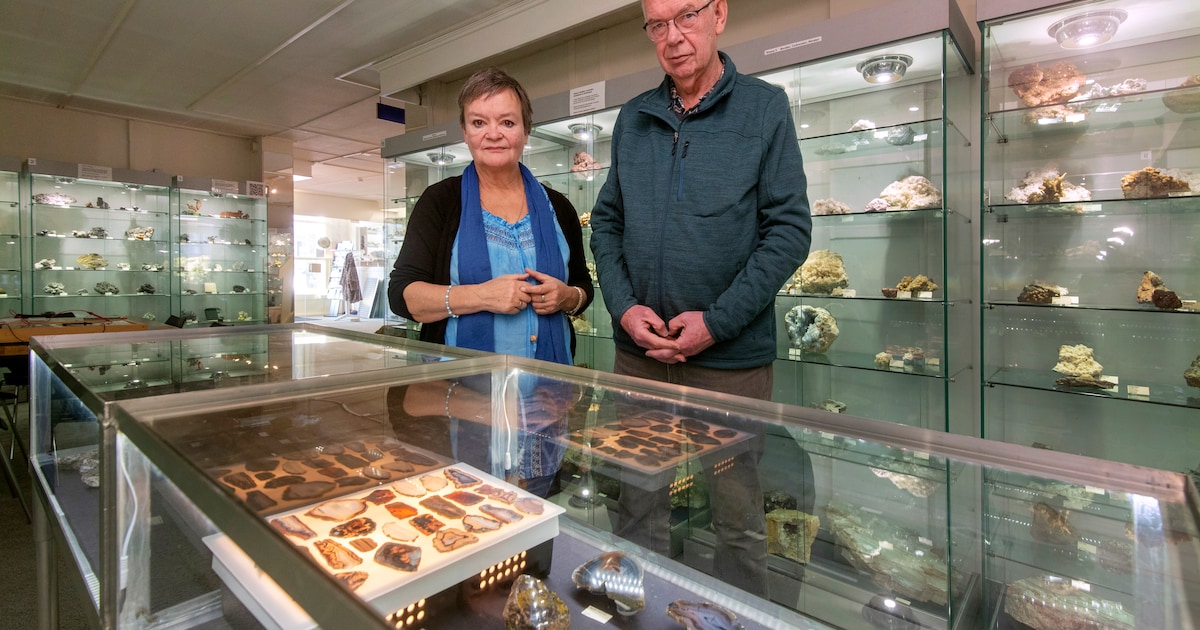 Gelders Geologisch Museum houdt grote verkoopdag