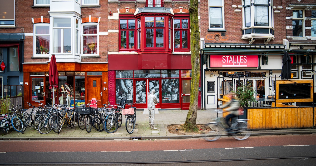 na-twaalf-jaar-keert-plato-terug-in-rotterdam-dit-is-een-geweldige