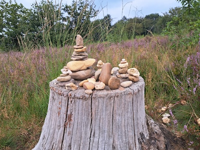 Gidsen vertellen over ijstijden, stuwwallen en zwerfkeien tijdens excursie