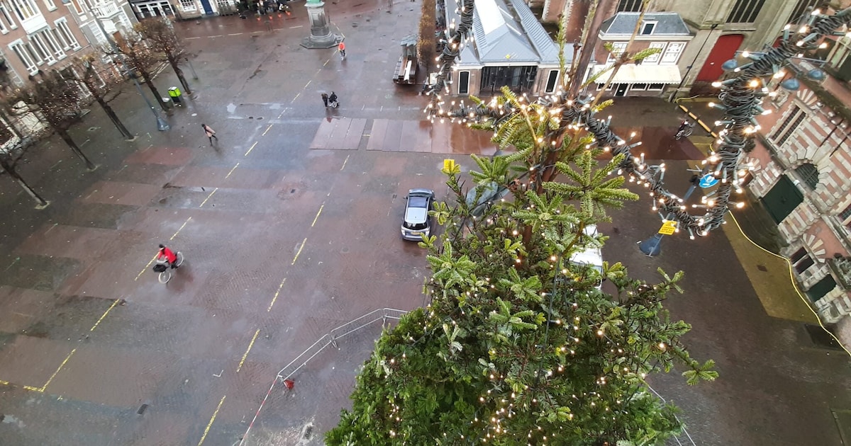 Hier koop je kerstbomen, de kerstboom op de Grote Markt en meer nieuwtjes van afgelopen week