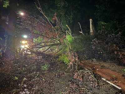 Grote boom valt om tijdens noodweer en verspert weg in Lunteren