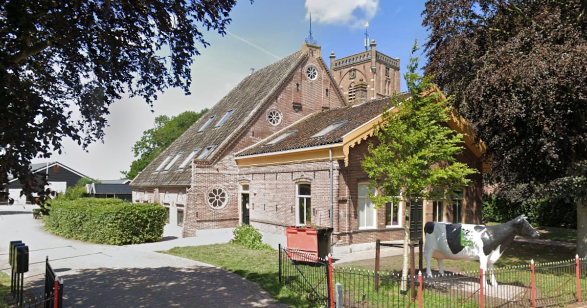 Met allerlei verschillende kramen: zomermarkt bij Rundveemuseum in Aartswoud