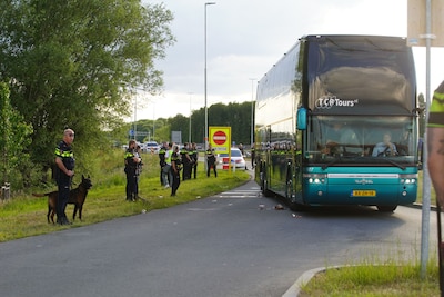 Tweehonderd hooligans vochten voor de camera’s, zes worden vervolgd: waarom die andere 194 niet?