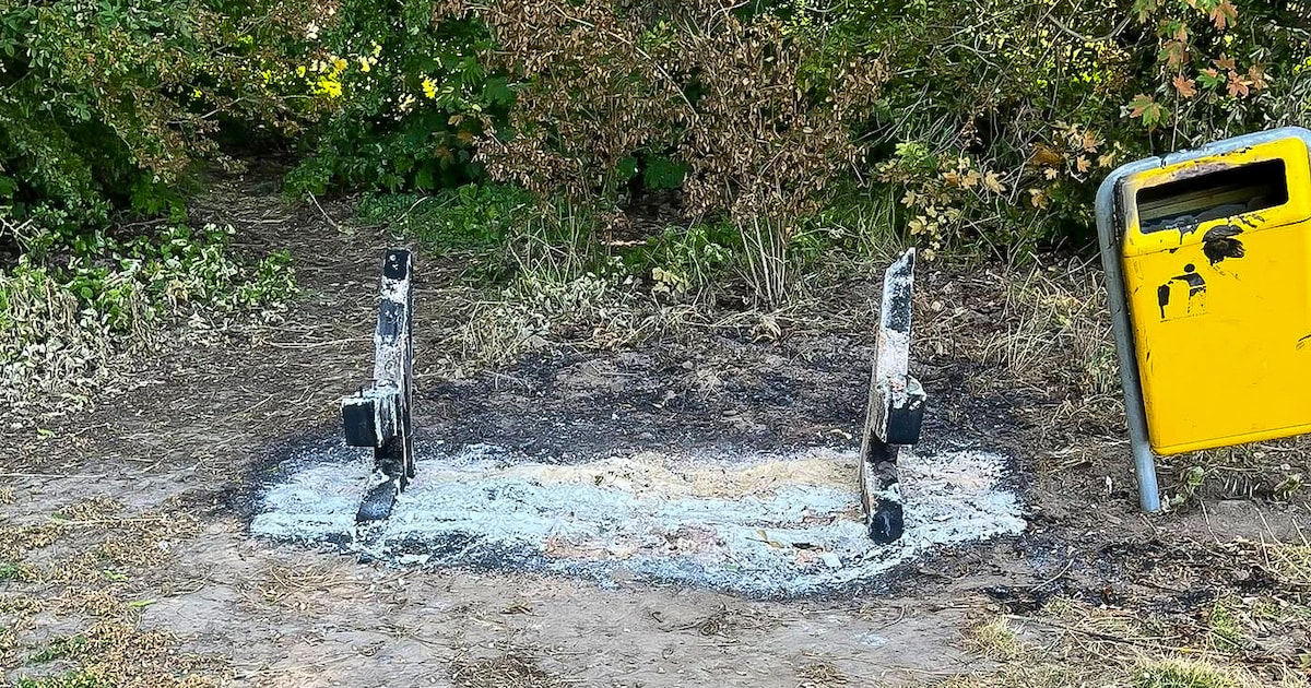 Vandalen drijven vrijwilligers in Zwijndrechts beeldenpark tot wanhoop