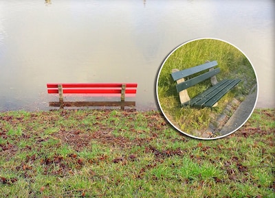 Theo maakt 14 jaar lang foto’s van een rood bankje, maar dan komt hij terug van vakantie en is het g