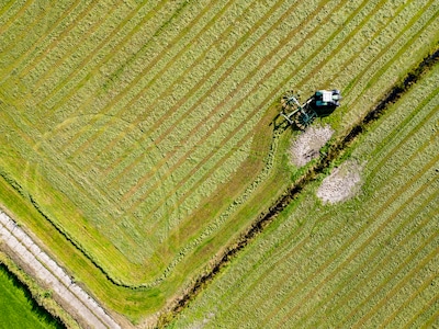Nieuw stikstofplan Overijssel: extra maatregelen in de buurt van beschermde natuur