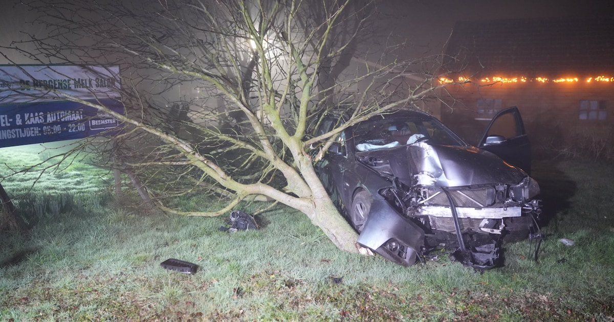 Auto belandt met boom en al in tuin van boerderij in Bergen