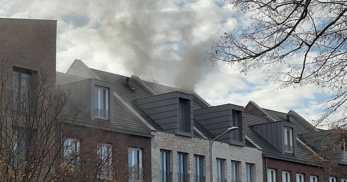 Veel rook bij woningbrand op Maagdendries in Maastricht