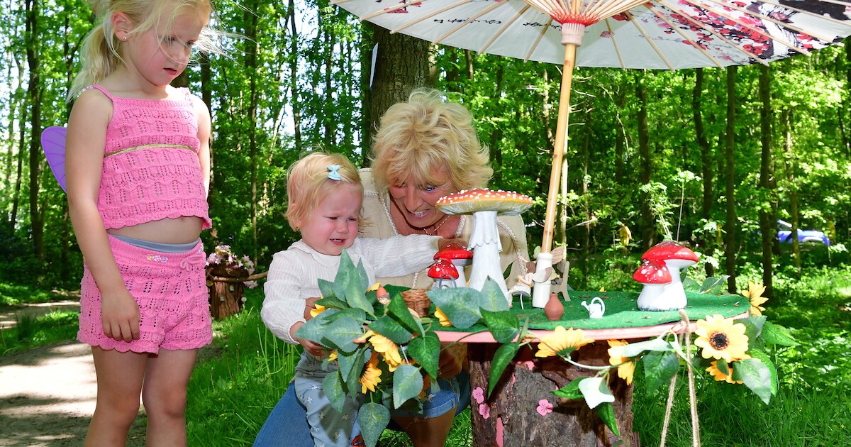 Elfjes in het Gastelse Bos
