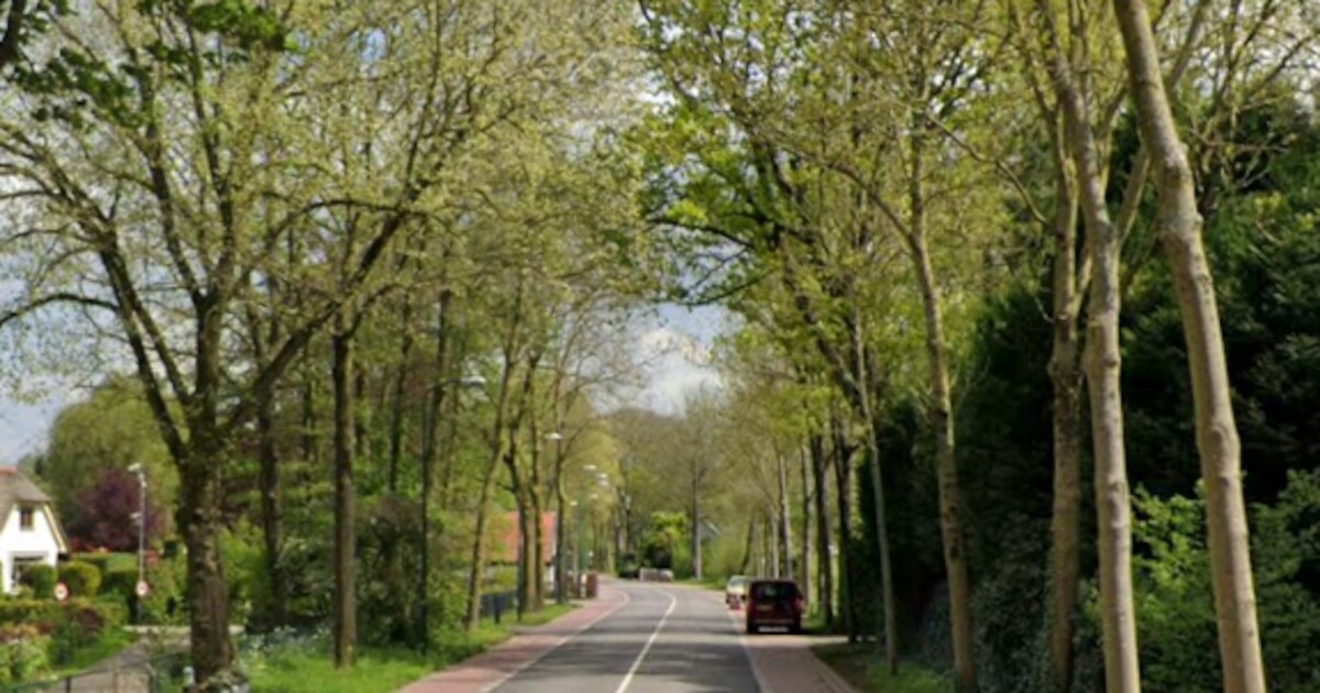 Werkzaamheden aan de Nieuw-Loosdrechtsedijk in Loosdrecht binnenkort afgerond