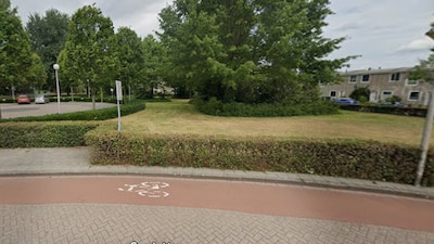 Image related to the article