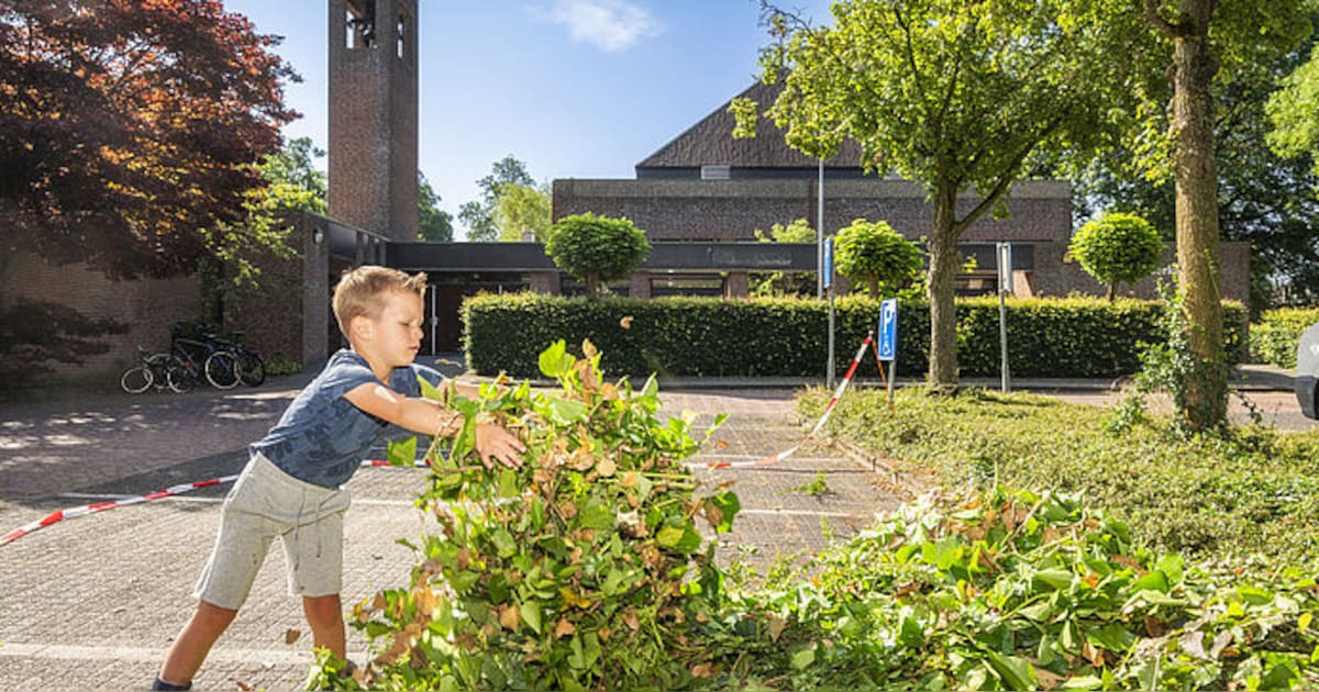 Gemeente Montfoort haalt grof tuinafval donderdag 3 september op