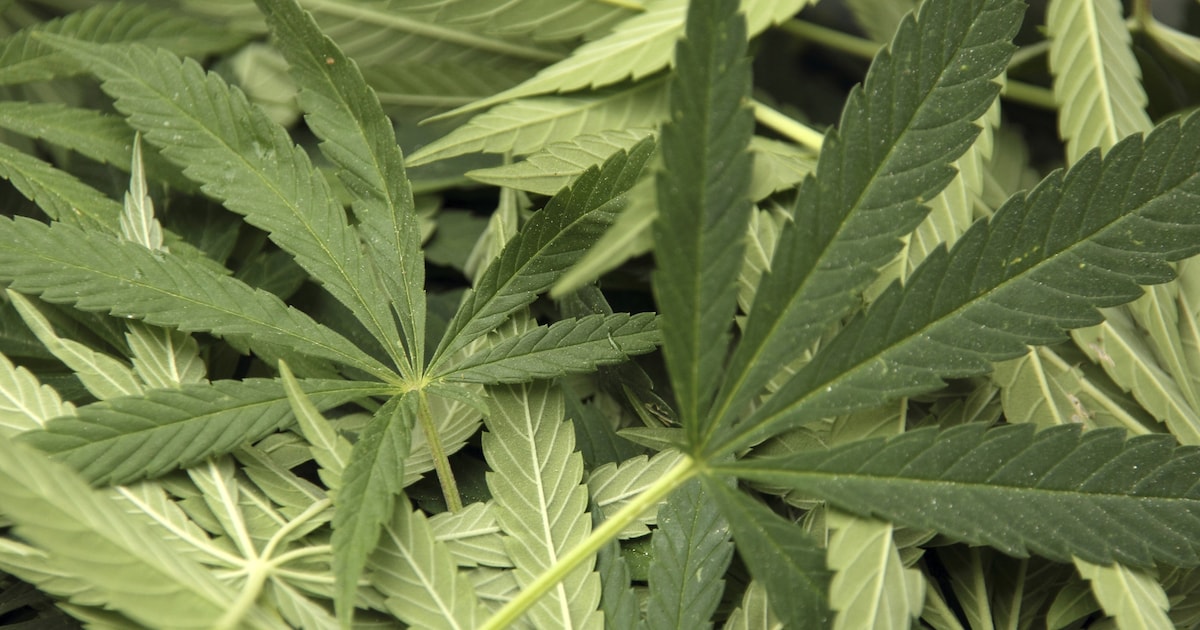 Burgemeester sluit woning aan Heiningen in Bergen op Zoom voor drie maanden na vondst drugs