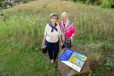 Image related to the article
