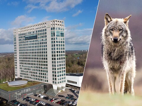 Het gaat om de gegevens van tientallen ambtenaren. 