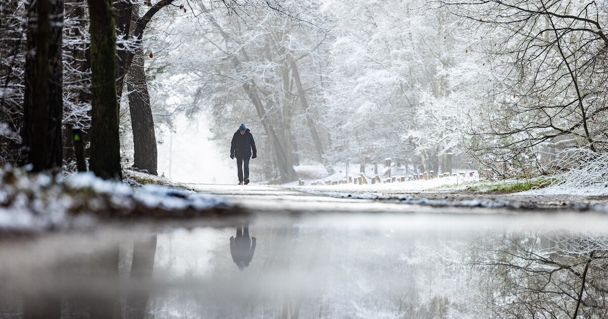 Winterwandeling voor senioren in De Peel