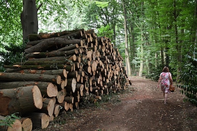 Image related to the article