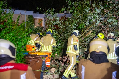 Onstuimig weer zorgt voor overlast: meerdere bomen omgewaaid in regio Utrecht