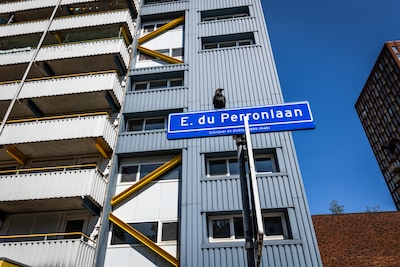 Rechter zet Jurjen (58) en zijn vrouw (60) uit hun Delftse flat: Duwo mag 160 studentenkamers maken