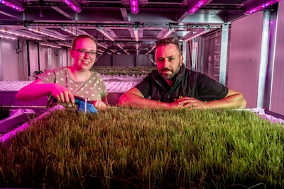 Gras tot aan het plafond: kan verticale teelt de druk op schaarse landbouwgrond verlichten?