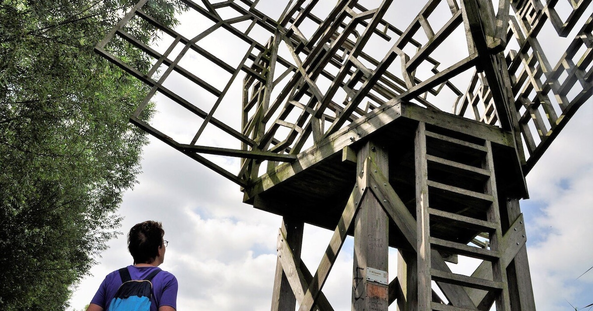Uitkijktoren weg, tot verdriet van kunstenaar en Limeswerkgroep: ‘Het werd écht gebruikt’