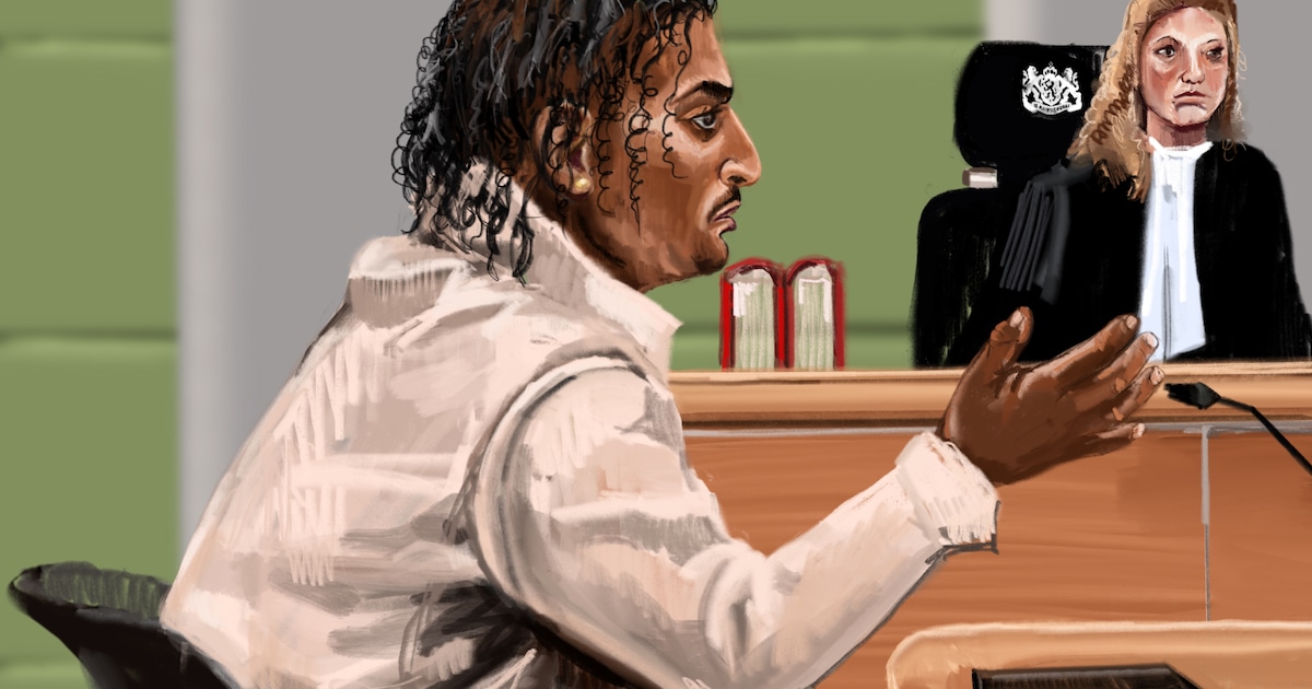 Vishal (39) schoot ex na jarenlange terreur door het hoofd, maar wil ...