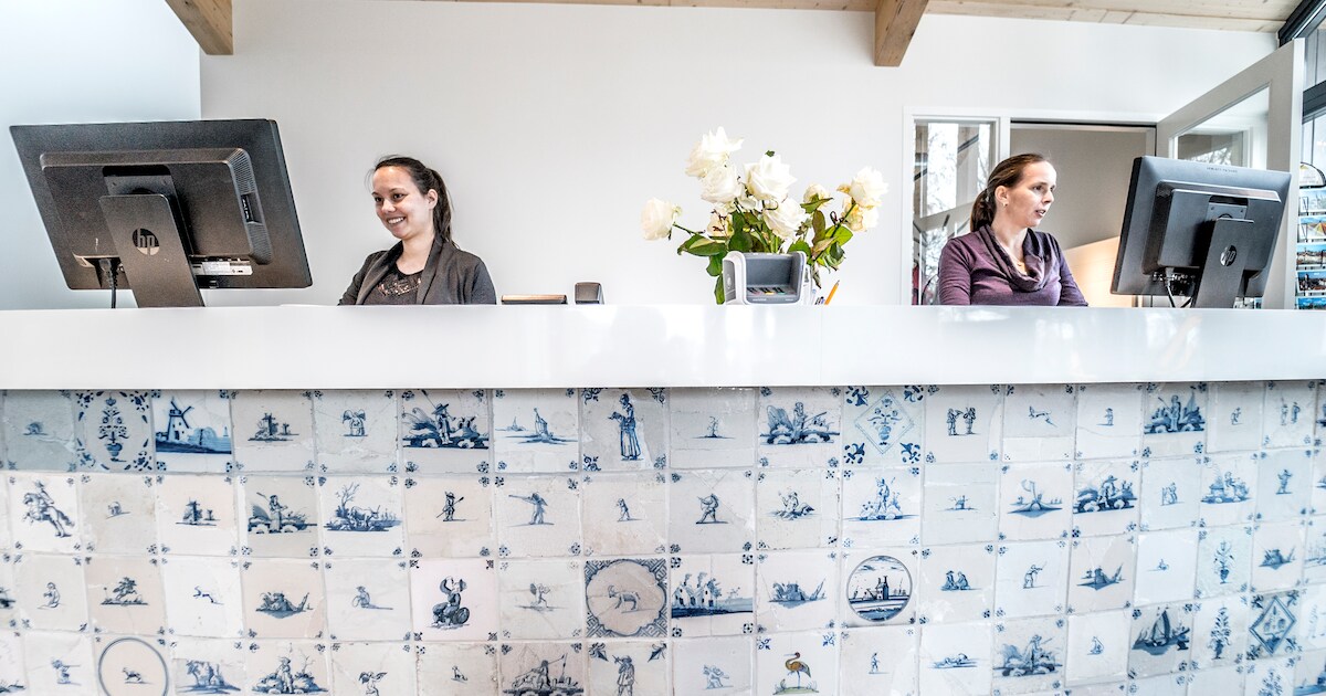 Vakantiepark Delftse Hout wordt opgeknapt met eeuwenoud Delfts blauw