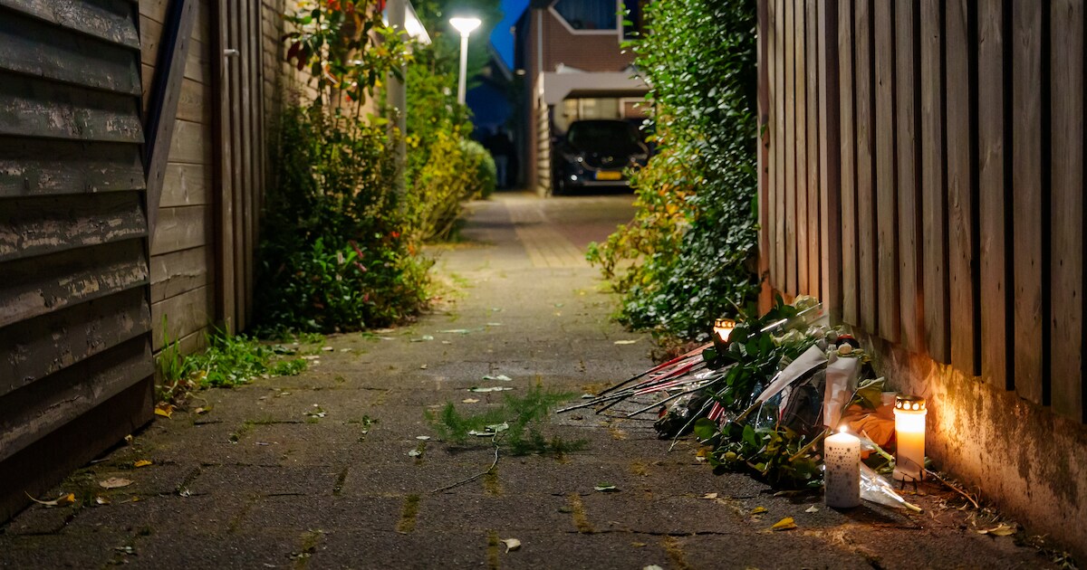 Moord niet bewezen: Justin A. krijgt 12 in plaats van 18 jaar cel voor doodsteken vriend Dien (20)