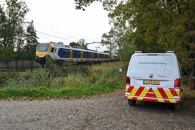 Geen treinen tussen Tilburg en Boxtel door overleden hond bij aanrijding