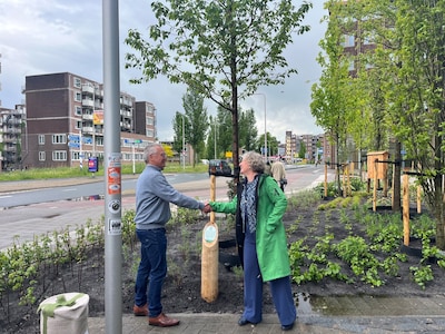 Duurzaamheidsplatform Gouda schenkt jubileumboom aan gemeente