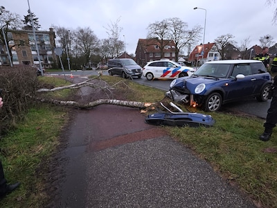 Auto rijdt boom omver op de Geertjesweg in Wageningen