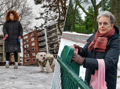 Image related to the article