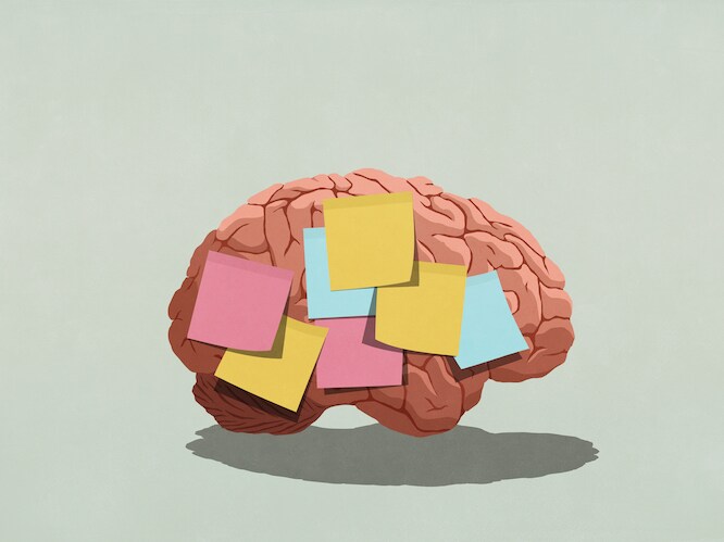 Nieuwe technologieën kunnen het menselijk brein ‘reanimeren’