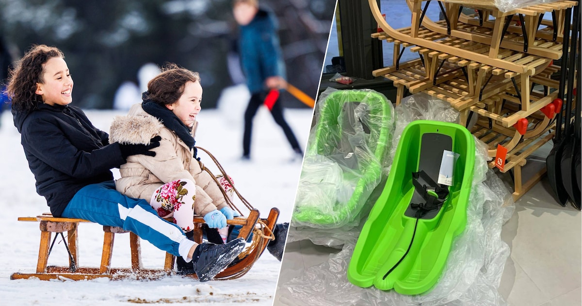 Sneeuw zorgt voor run op sleeën in Rhoon: ‘Het is gekkenhuis’