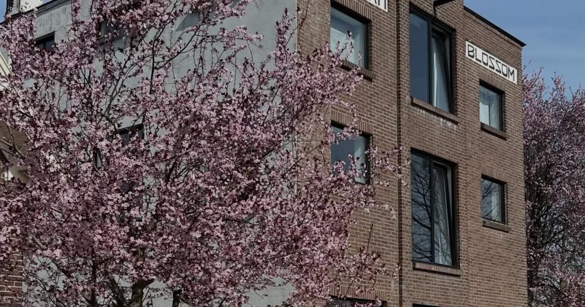Fundaparel in Apeldoorn: oude sigarenfabriek Havannah Blossom