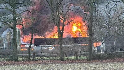 2.000 varkens komen om bij zware brand in Lommel