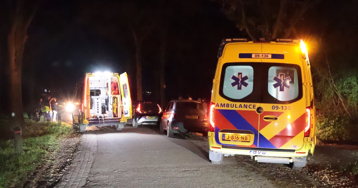 Gewonde fietser aangetroffen op de Eikenlaan in Eemnes