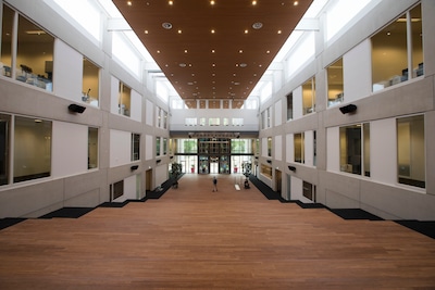 Image related to the article