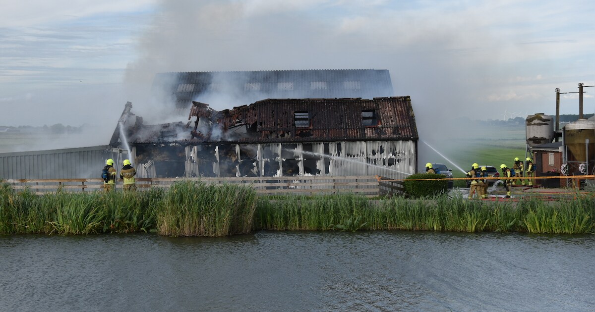 Schuur in brand op Oost-Mijzen in Avenhorn, schapen gered