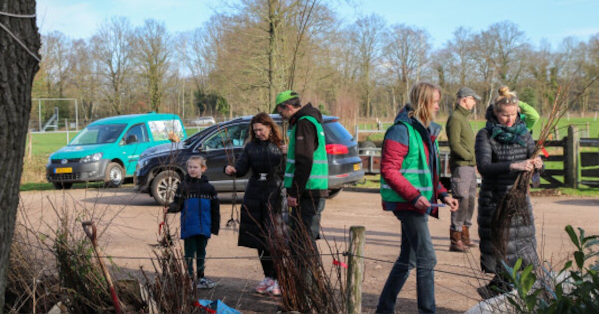 Gratis bomen ophalen in Papendrecht, zo krijgen meer jonge bomen een tweede kans