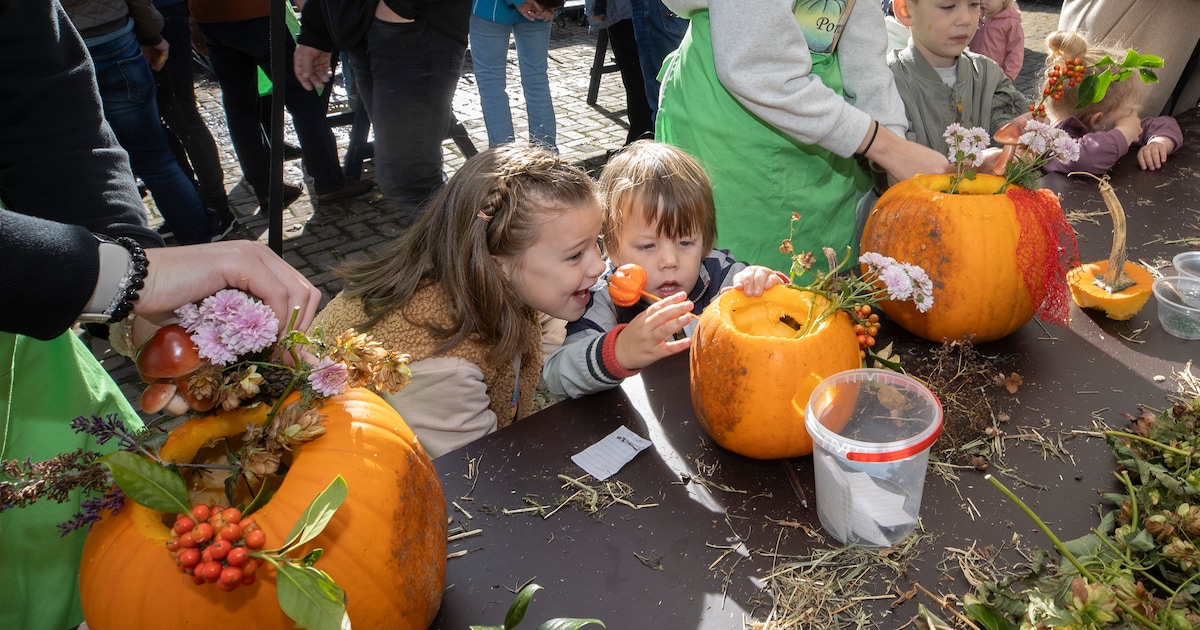 Pompoendagen brengen herfst naar Landgoed Frymerson in Sint Odiliënberg
