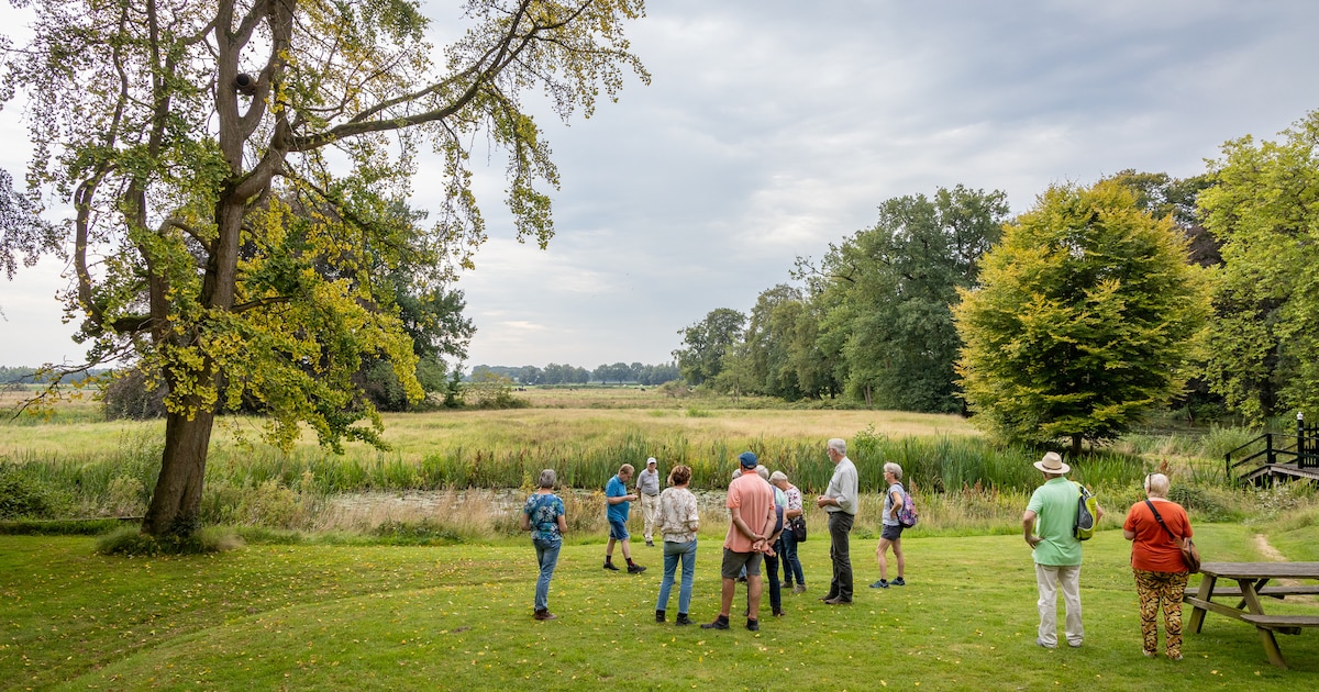 Meditatieve wandeling op Landgoed De Horte in Dalfsen
